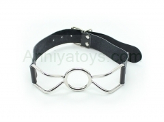 Stainless Steel Ball Gag Adult Sexy Toy Mouth ball