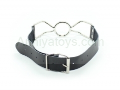 Stainless Steel Ball Gag Adult Sexy Toy Mouth ball