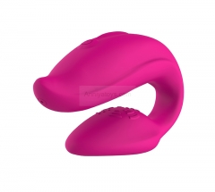 Remote Control Vibrating Couples Sex Toys USB Sex Vibrator