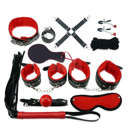 ANY-25-306H