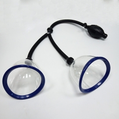 ZB-019