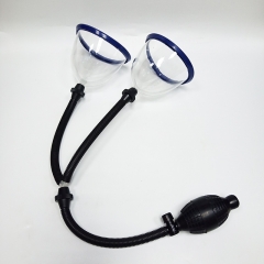 ZB-019